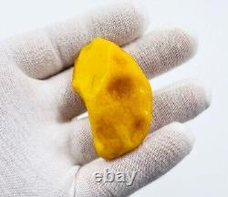 Baltic Amber Stone Genuine Amber Piece Natural Baltic Amber stone