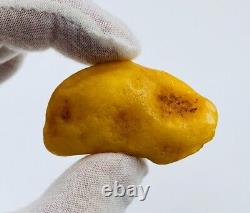 Baltic Amber Stone Genuine Amber Piece Natural Baltic Amber stone