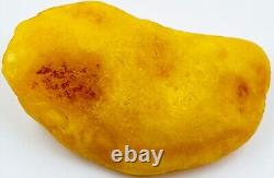 Baltic Amber Stone Genuine Amber Piece Natural Baltic Amber stone