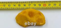 Baltic Amber Stone Genuine Amber Piece Natural Baltic Amber stone