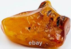 Baltic Amber Stone Genuine Amber Raw Natural Baltic Amber Raw Amber stone