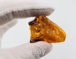 Baltic Amber Stone Genuine Amber Raw Natural Baltic Amber Raw Amber stone