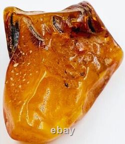 Baltic Amber Stone Genuine Amber Raw Natural Baltic Amber Raw Amber stone