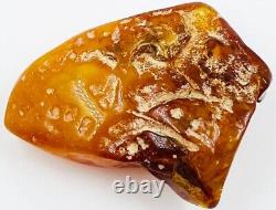 Baltic Amber Stone Genuine Amber Raw Natural Baltic Amber Raw Amber stone