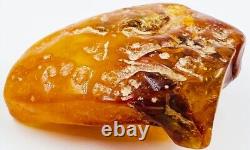 Baltic Amber Stone Genuine Amber Raw Natural Baltic Amber Raw Amber stone