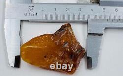 Baltic Amber Stone Genuine Amber Raw Natural Baltic Amber Raw Amber stone