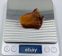 Baltic Amber Stone Genuine Amber Raw Natural Baltic Amber Raw Amber stone