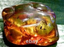 Baltic Genuine Amber Raw Stone Natur Bernstein 4 cm INCLUSION