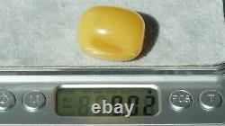 Baltic Natural Amber Single Bead 9 Grams Europe Investment Baltic Amber asset