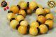 Baltic Natural Yellow Color Amber Bracelet 8 Grams Collectible Amber