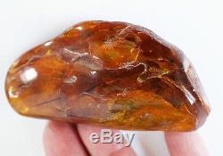 Baltic amber large natural specimen dark cognac inclusions (2) POLISHED