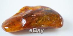 Baltic amber large natural specimen dark cognac inclusions (2) POLISHED