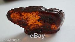 Baltic amber large specimen gem stone cherry dark cognac