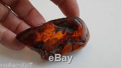 Baltic amber large specimen gem stone cherry dark cognac
