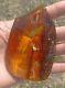 Baltic natural, polished amber. Weight 76 gr