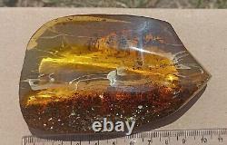 Baltic natural, polished amber. Weight 76 gr