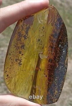 Baltic natural, polished amber. Weight 76 gr