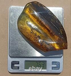 Baltic natural, polished amber. Weight 76 gr