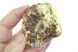 Baltic white amber large fossil specimen natural raw rough rare pure with skin