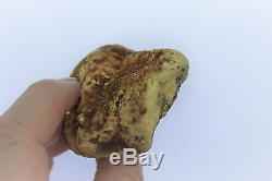 Baltic white amber large fossil specimen natural raw rough rare pure with skin
