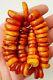 Beautiful Antique Natural Butterscotch Egg Yolk Baltic Amber Necklace 74 Gr