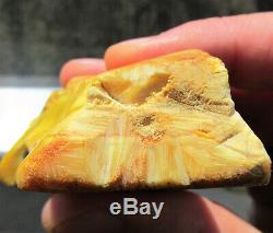 Beautiful Natural Genuine White Royal Baltic Amber Stone 53.5g