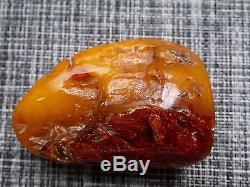 Butterscotch Natural Baltic Amber single piece Polished Huge 164gram