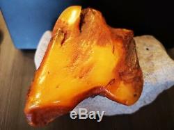 Dragon Baltic Amber 474g Bernstein Yellow, Cabochon Natural Raw