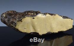Extremely Rare Massive Baltic Sea Natural Cream White Amber Speciman Chinese Int
