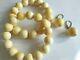 Earrings Natural Huge 13 mm. Baltic Royal White Butter Amber Round Beads
