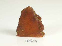 Echter Roh Bernstein Rar Amber Stones 35 Gramm Natural Baltic (Private Sammlung)