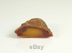Echter Roh Bernstein Rar Amber Stones 35 Gramm Natural Baltic (Private Sammlung)