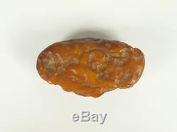 Echter Roh Bernstein Rar Amber Stones 55 Gramm Natural Baltic (Private Sammlung)