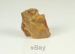 Echter Roh Bernstein Rar Amber Stones 62 Gramm Natural Baltic (Private Sammlung)