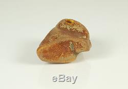 Echter Roh Bernstein Rar Amber Stones 62 Gramm Natural Baltic (Private Sammlung)