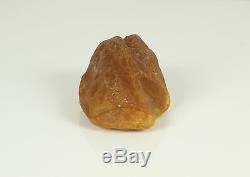 Echter Roh Bernstein Rar Amber Stones 95 Gramm Natural Baltic (Private Sammlung)