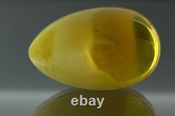 Egg Yolk Honey Genuine BALTIC AMBER Perfect Egg Shape Stone Piece 37.9g 180508-1
