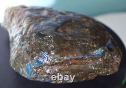 Excellent Natural Dominican Clear Sky Blue Amber Rough Specimen 120mm 144g