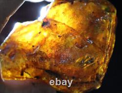 Excellent Natural Dominican Clear Sky Blue Amber Rough Specimen 120mm 144g