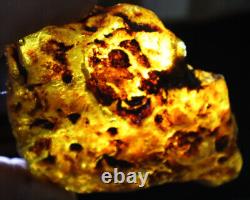 Excellent Natural Dominican Clear Sky Blue Amber Rough Specimen 120mm 144g