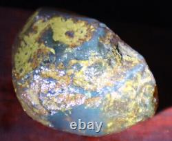 Exquisite Nat. Dominican Crystal Clear Sky Blue Amber Rough Specimen 58mm 35.2g