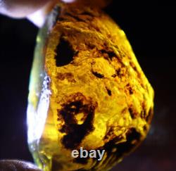 Exquisite Nat. Dominican Crystal Clear Sky Blue Amber Rough Specimen 58mm 35.2g