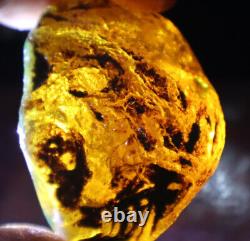 Exquisite Nat. Dominican Crystal Clear Sky Blue Amber Rough Specimen 58mm 35.2g