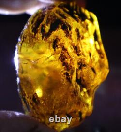 Exquisite Nat. Dominican Crystal Clear Sky Blue Amber Rough Specimen 58mm 35.2g