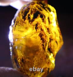 Exquisite Nat. Dominican Crystal Clear Sky Blue Amber Rough Specimen 58mm 35.2g