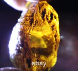 Exquisite Nat. Dominican Crystal Clear Sky Blue Amber Rough Specimen 58mm 35.2g