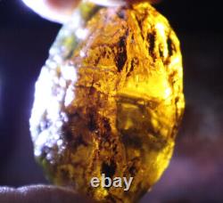 Exquisite Nat. Dominican Crystal Clear Sky Blue Amber Rough Specimen 58mm 35.2g