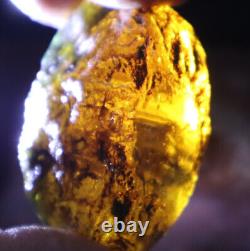 Exquisite Nat. Dominican Crystal Clear Sky Blue Amber Rough Specimen 58mm 35.2g