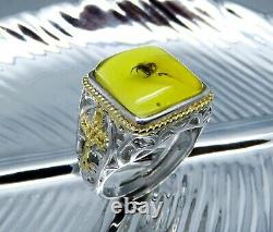 Fossil insect SPIDER inclusion Genuine BALTIC AMBER 925 Sterling SILVER Men Ring