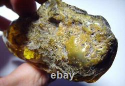 Genuine Amber Raw amber stone Natural Baltic amber rare stone 49.55gr. N-29